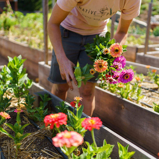 Locally grown flowers from our San Diego garden