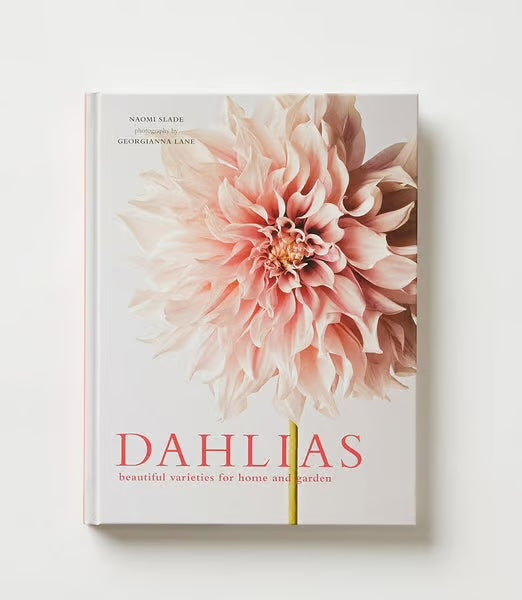 Dahlias by Naomi Slade