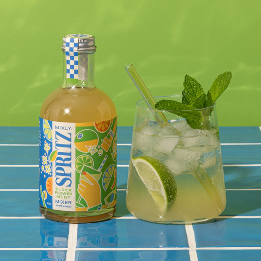 Elderflower Mint Spritz Mixer with cocktail