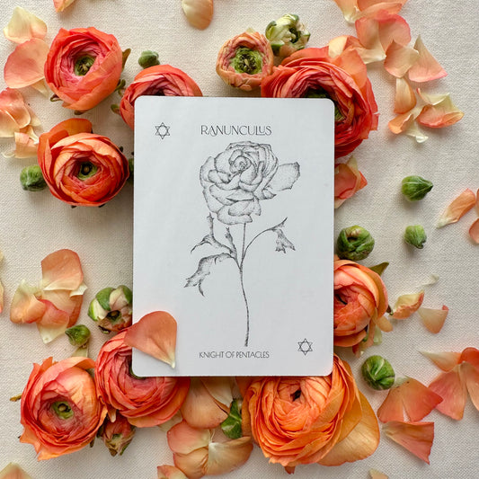 Ranunculus card from Tarot of Flowers Deck