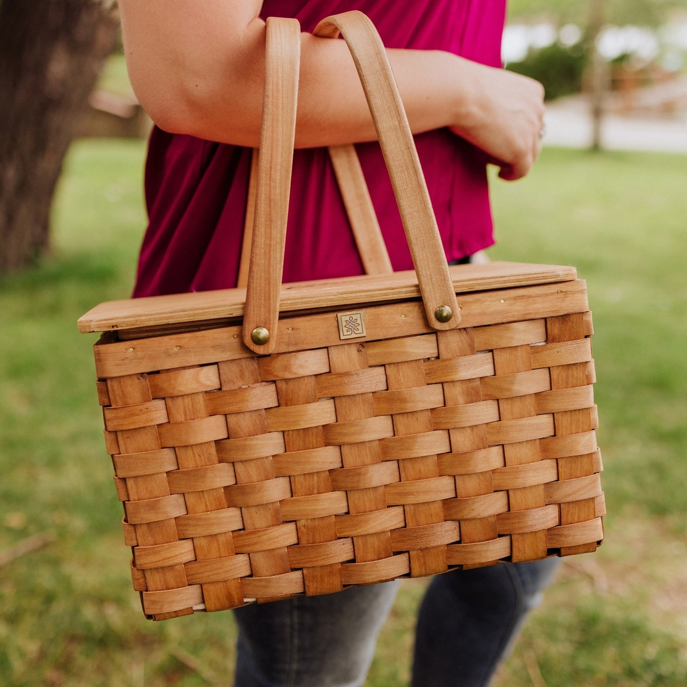 Personal Insulated Picnic Basket