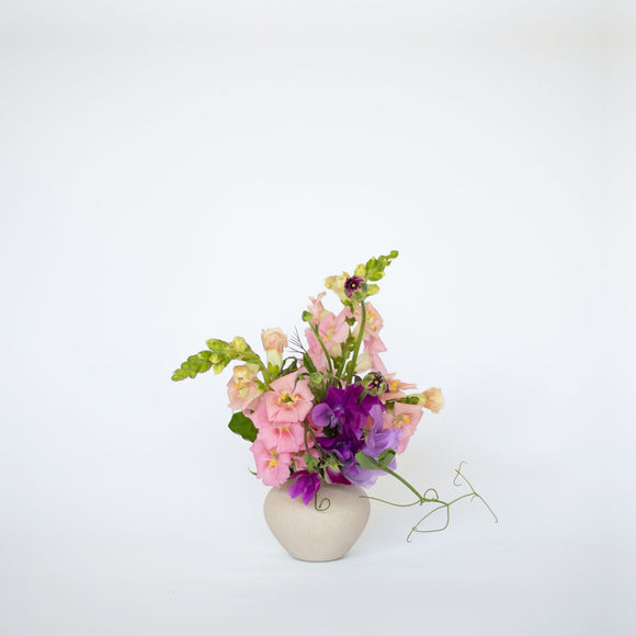 Arranged Flowers – Native Poppy