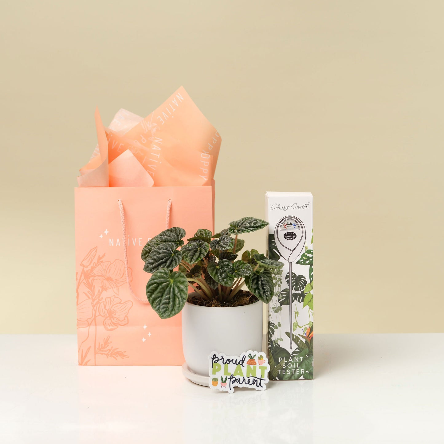 Plant Parent Gift Bundle includes 4" potted plant, moisture meter, and a sticker