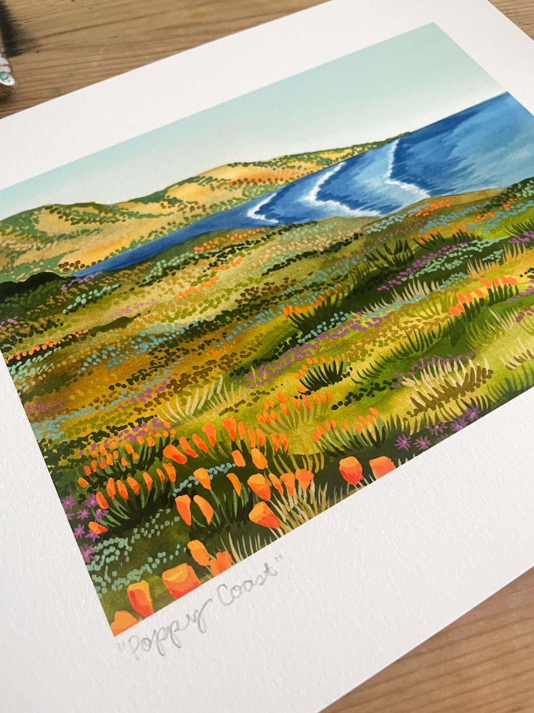 Poppy Coast California Art Print - by Emily Coleman