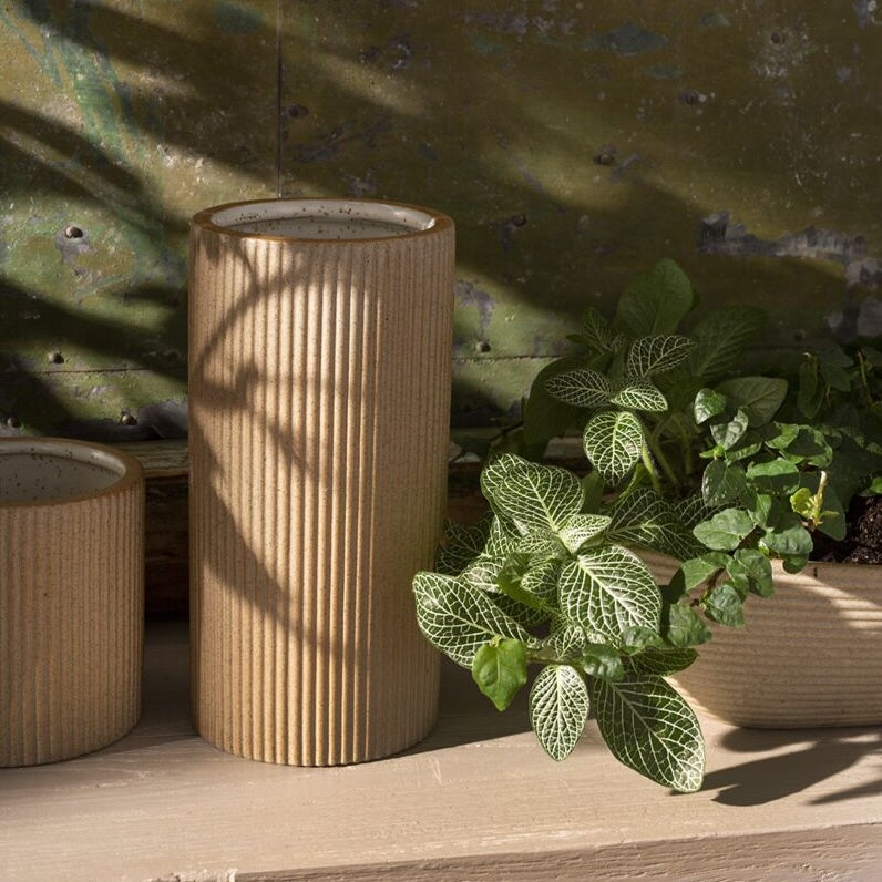 Morrigan Vase on moody shadowy shelf with houseplants