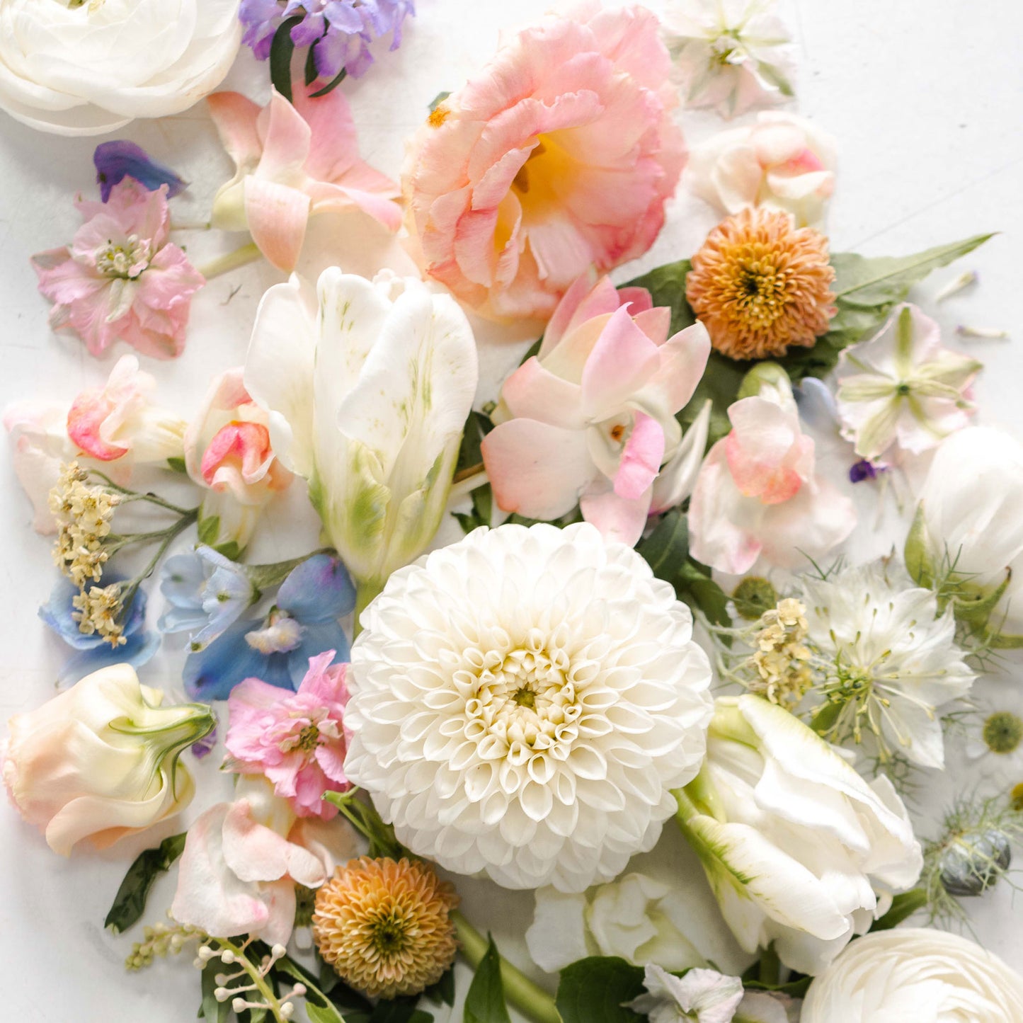 Neutral + Elegant floral color palette from Native Poppy