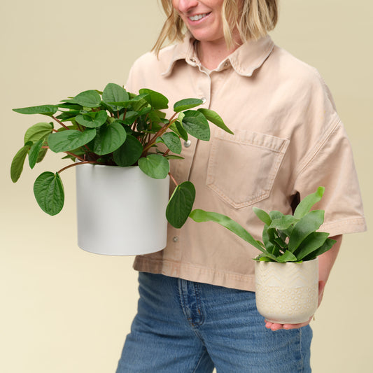 Natalie Gill holds two potted plants