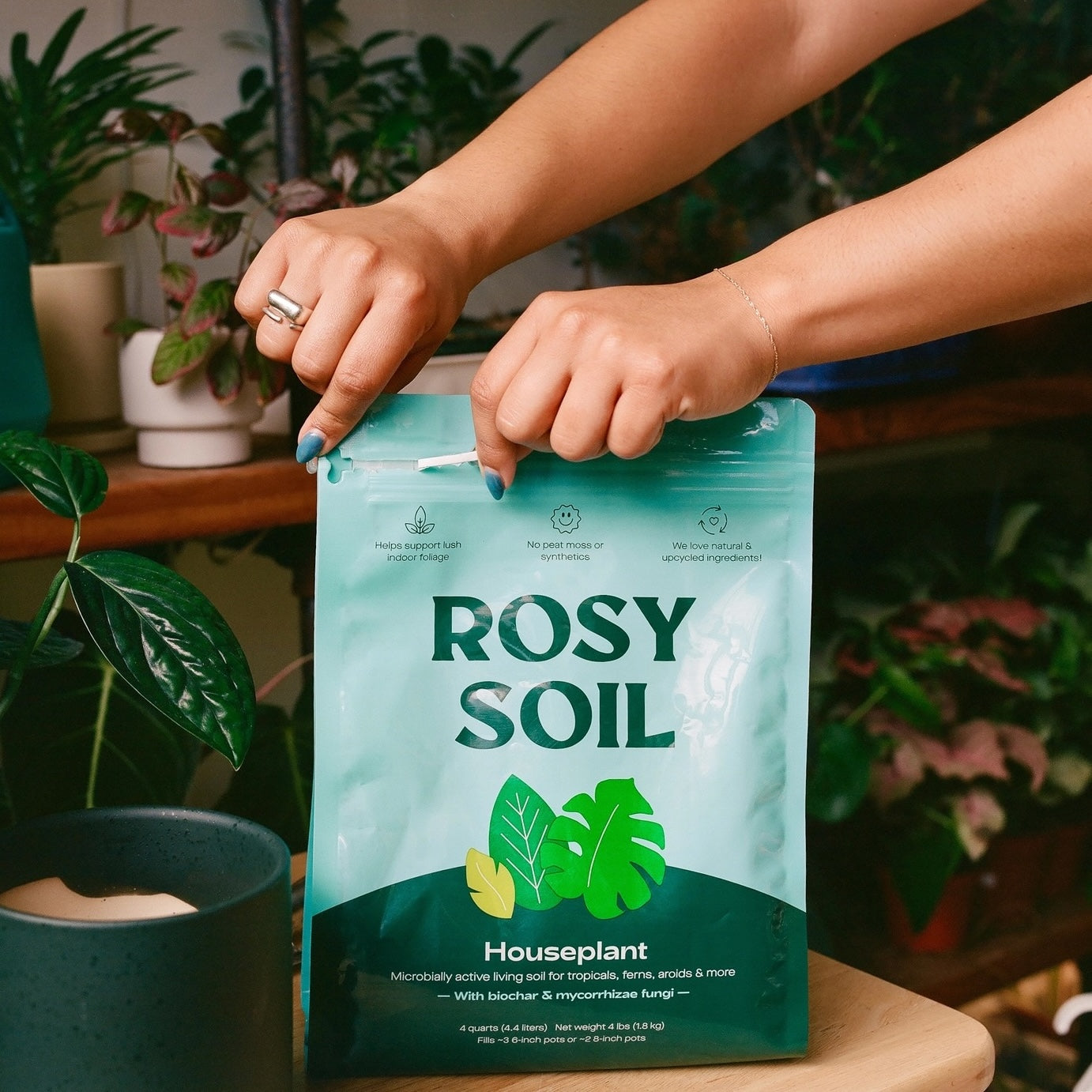 opening a bag of rosy soil