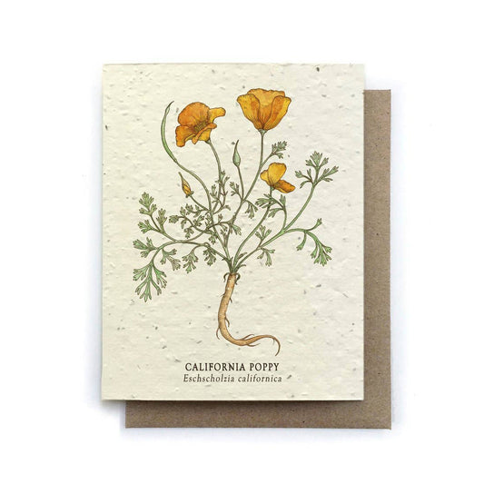 California Poppy Card from Small Victories, formerly Bower Studio