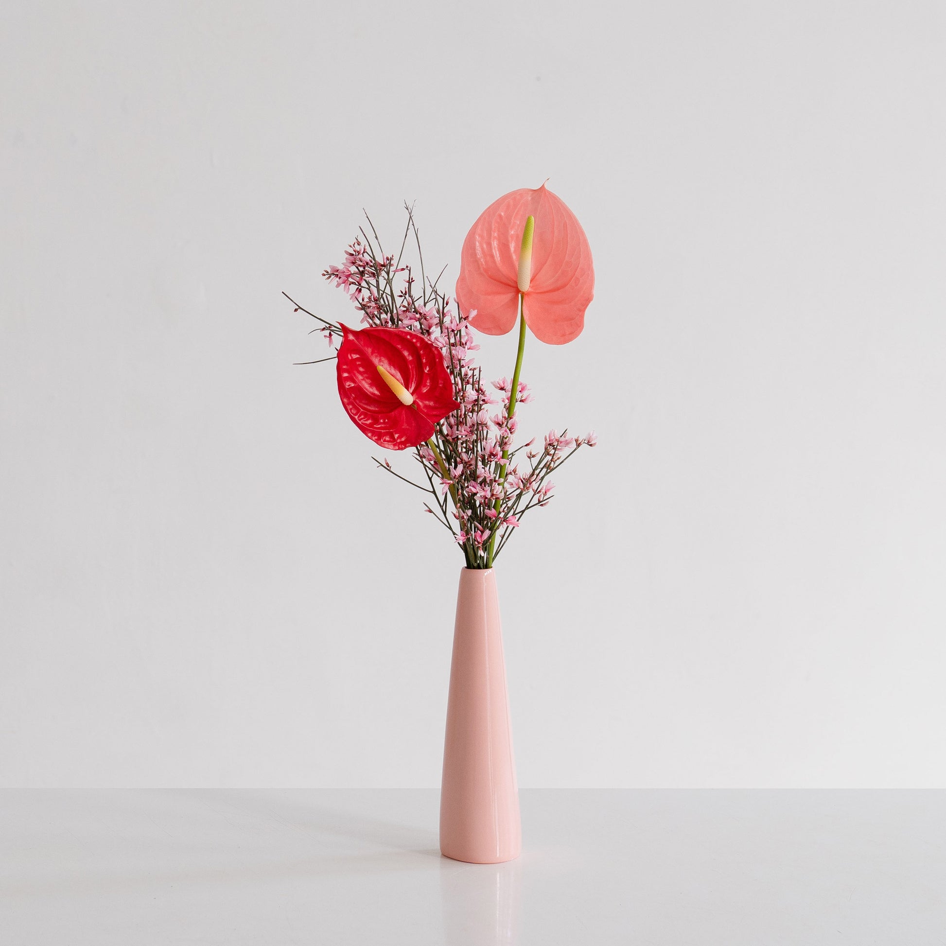 two anthurium flowers arranged in a tall pink bud vase