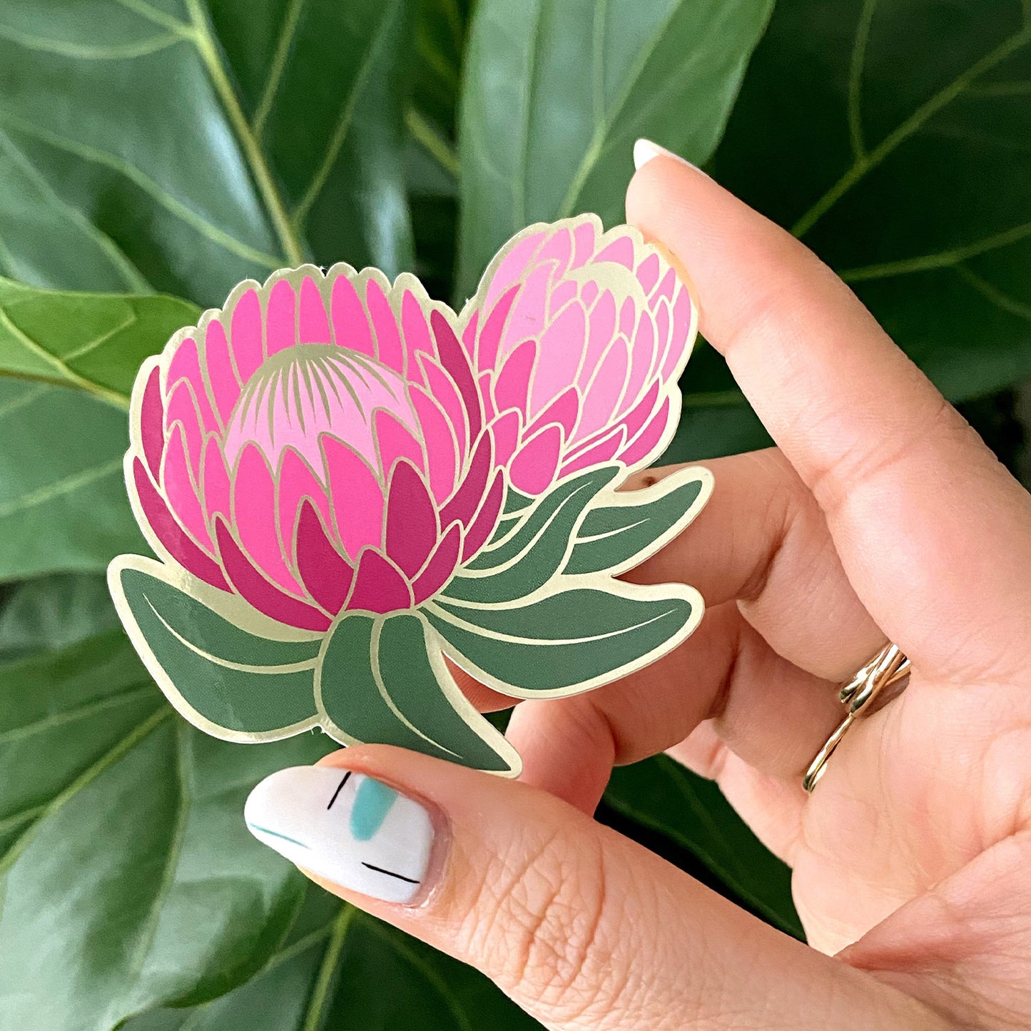 Ofelia Protea Sticker from Paper Anchor Co.