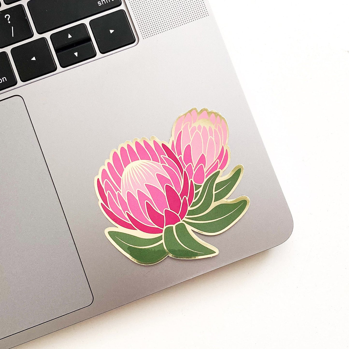 Ofelia Protea Sticker on laptop