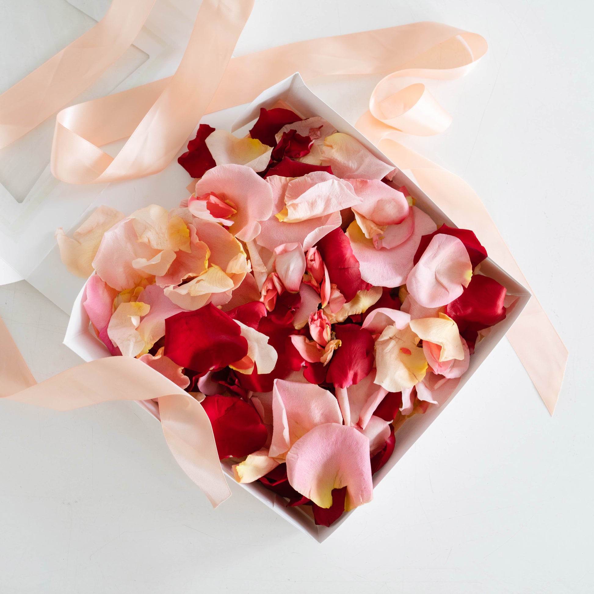 rose petals in a box