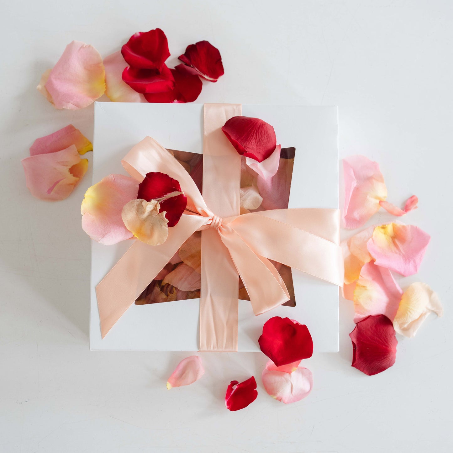 Rose petals in a gift box with satin ribbon