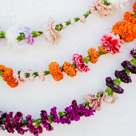 Carnation garlands in multiple colors