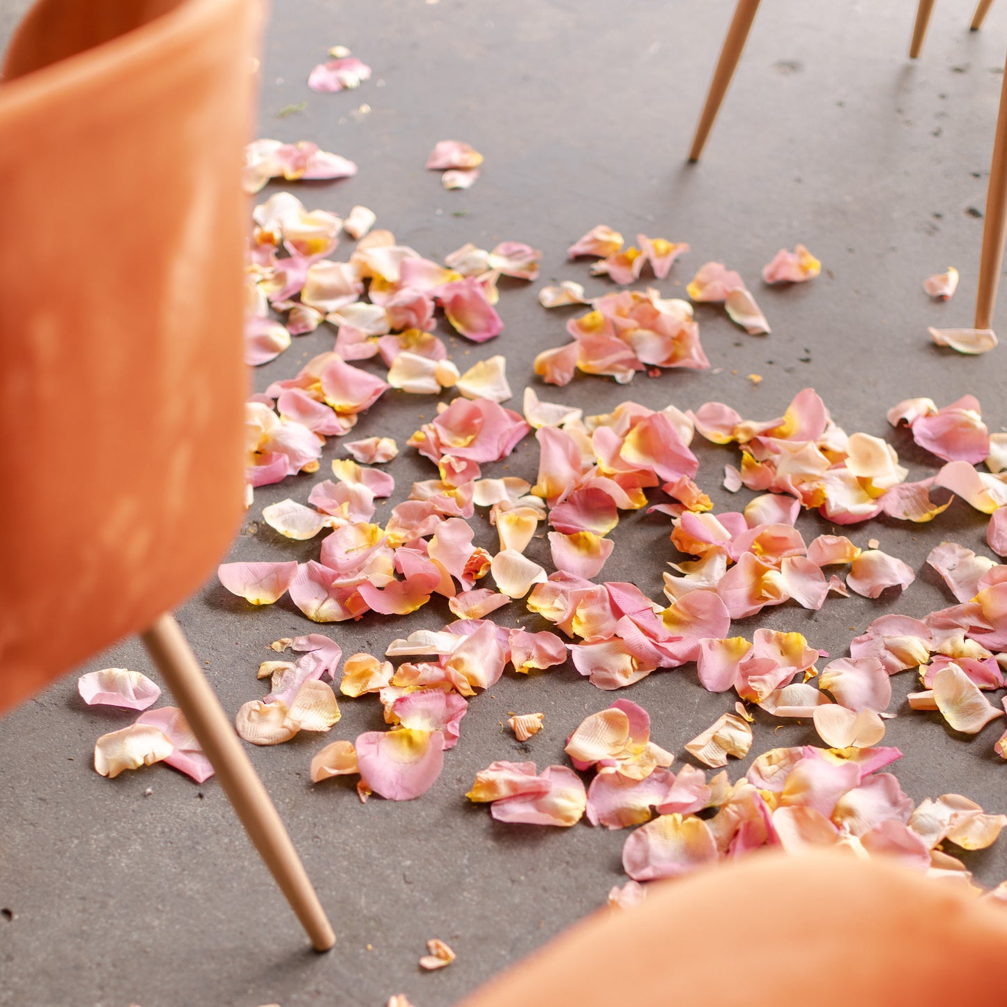 Wedding aisle flower petals from Native Poppy