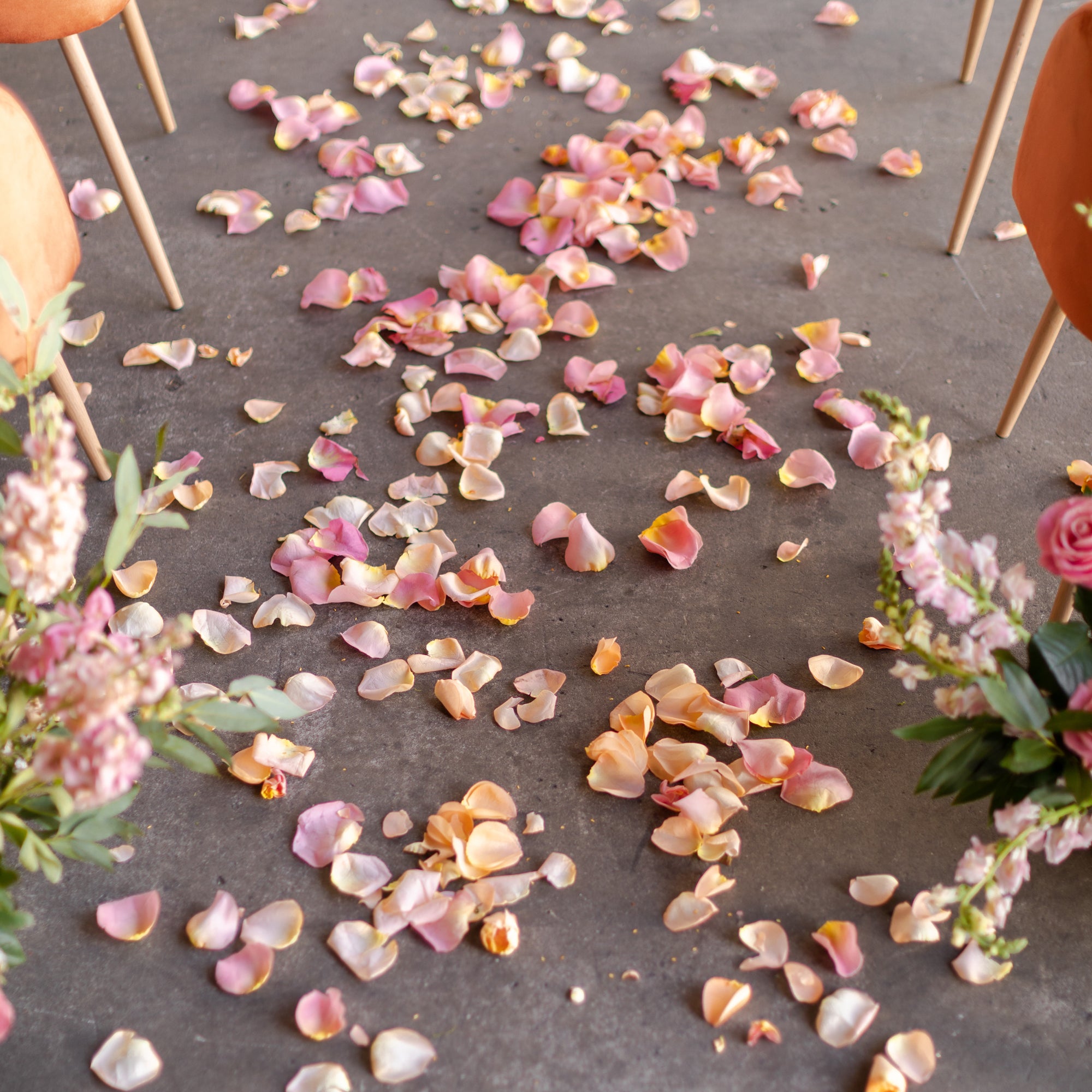 Flower girl shops petals real